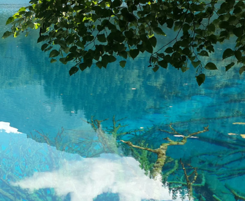 所有的风景